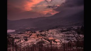 Rice Terrace Sunrise